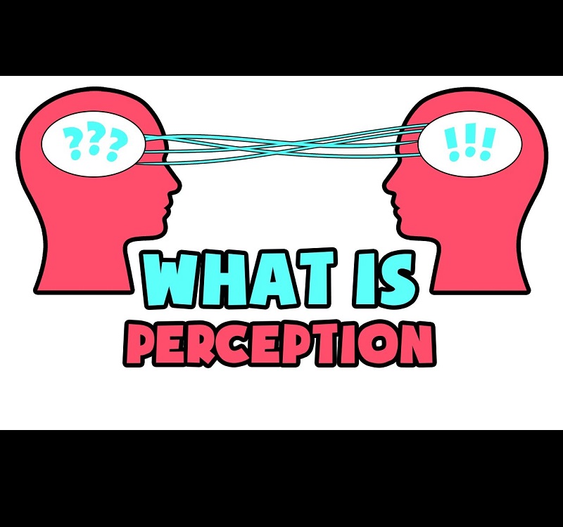 perception- #study #psychology