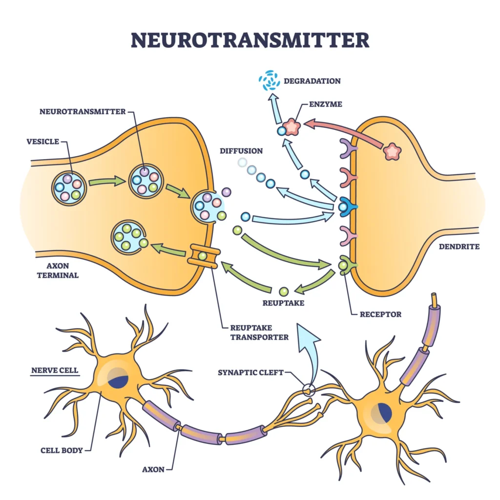 Neurotransmitter #study #psychology