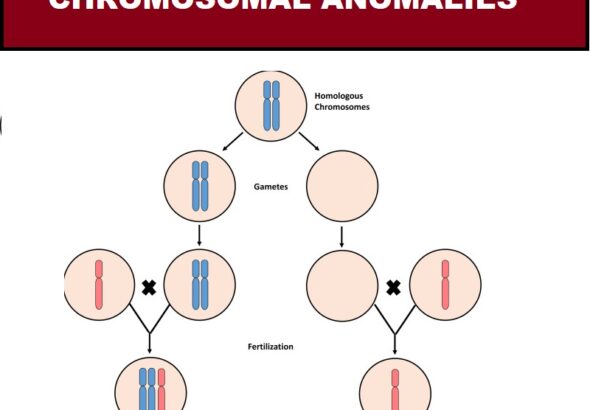 Chromosomal Anomalies